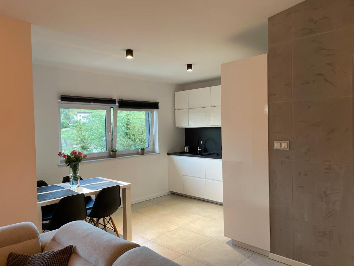Apartament Z Klimatem II Wisla Ngoại thất bức ảnh